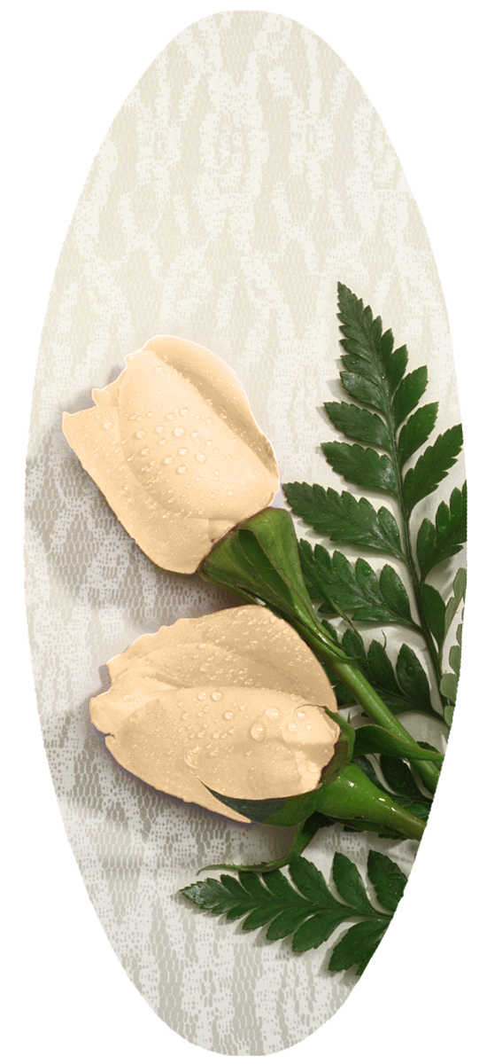 A18 2 Rose Cream PROOF